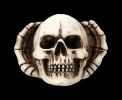 Lustige Totenköpfe - Nichts Böses -FIGUREN Verkäufe 2D FS24469 Lustige Totenkopfe Nichts Boses 8 1280x1280