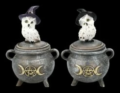 Schneeeulen Schatulle Auf Hexenkessel 2er Set