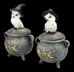 Schneeeulen Schatulle Auf Hexenkessel 2er Set -FIGUREN Verkäufe 2D FS24638 Schneeeulen Schatulle auf Hexenkessel 2er Set 5 1280x1280