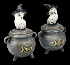 Schneeeulen Schatulle Auf Hexenkessel 2er Set -FIGUREN Verkäufe 2D FS24638 Schneeeulen Schatulle auf Hexenkessel 2er Set 6 1280x1280