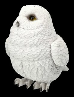 Schneeeulen Figur - Süßes Baby -FIGUREN Verkäufe 2D FS24643 Schneeeulen Figur S sses Baby 7 1280x1280