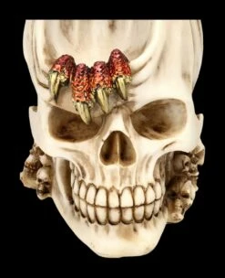 Rückfluss Räucherhalter Totenkopf - Dragon Within 16 Rückfluss Räucherhalter Totenkopf - Dragon Within -FIGUREN Verkäufe 2D FS24684 Ruckfluss Raucherhalter Totenkopf Dragon Within 7 1280x1280