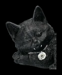 Katzenfigur Mit Flügeln - Cat Nap -FIGUREN Verkäufe 2D FS24702 Katzenfigur mit Flugeln Cat Nap 8 1280x1280