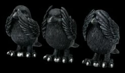 NEMESIS NOW Raben Figuren - Nichts Böses 12 NEMESIS NOW Raben Figuren - Nichts Böses -FIGUREN Verkäufe 2D FS24707 Raben Figuren Nichts Boses 4 1280x1280