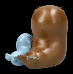 Furrybones Figur - Walross Utchi 12 Furrybones Figur - Walross Utchi -FIGUREN Verkäufe 2D FS24729 Furrybones Figur Walrus 4 1280x1280