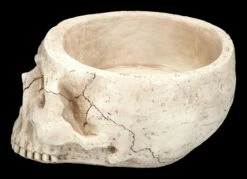 Totenkopf Pflanztopf Knochenfarben Groß -FIGUREN Verkäufe 2D FS24736 Totenkopf Pflanztopf Knochenfarben 2 1280x1280