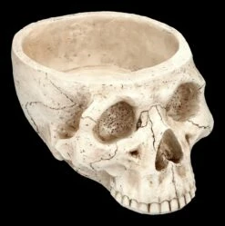 Totenkopf Pflanztopf Knochenfarben Groß -FIGUREN Verkäufe 2D FS24736 Totenkopf Pflanztopf Knochenfarben 5 1280x1280