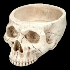 Totenkopf Pflanztopf Knochenfarben Groß -FIGUREN Verkäufe 2D FS24736 Totenkopf Pflanztopf Knochenfarben 6 1280x1280