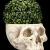 Totenkopf Pflanztopf Knochenfarben Groß -FIGUREN Verkäufe 2D FS24736 Totenkopf Pflanztopf Knochenfarben 8 1280x1280