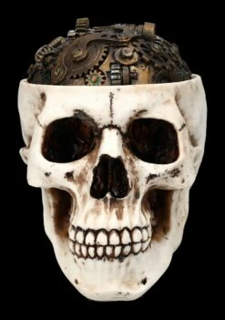 Totenkopf Schatulle - Zahnrad Deckel 11 Totenkopf Schatulle - Zahnrad Deckel -FIGUREN Verkäufe 2D FS24740 Totenkopf Schatulle Zahnrad Deckel 1 1280x1280