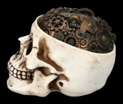 Totenkopf Schatulle - Zahnrad Deckel 12 Totenkopf Schatulle - Zahnrad Deckel -FIGUREN Verkäufe 2D FS24740 Totenkopf Schatulle Zahnrad Deckel 2 1280x1280