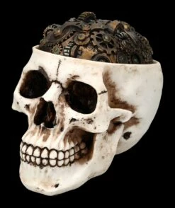 Totenkopf Schatulle - Zahnrad Deckel 15 Totenkopf Schatulle - Zahnrad Deckel -FIGUREN Verkäufe 2D FS24740 Totenkopf Schatulle Zahnrad Deckel 6 1280x1280