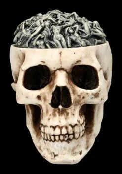 Totenkopf Schatulle - Hells Desire Deckel -FIGUREN Verkäufe 2D FS24743 Totenkopf Schatulle Hells Desire Deckel 1 1280x1280