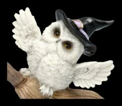 Eulen Figur Reitet Auf Hexenbesen -FIGUREN Verkäufe 2D FS24898 Eulen Figur reitet auf Hexenbesen 2 1280x1280