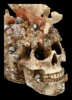 Totenkopf Figur Mit Korallen Bewachsen 15 Totenkopf Figur Mit Korallen Bewachsen -FIGUREN Verkäufe 2D FS24902 Totenkopf Figur mit Korallen bewachsen 2 1280x1280