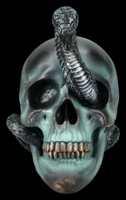 NEMESIS NOW Totenkopf Mit Schlange - Serpentine Fate -FIGUREN Verkäufe 2D FS24999 Totenkopf mit Schlange Serpentine Fate 1 1280x1280