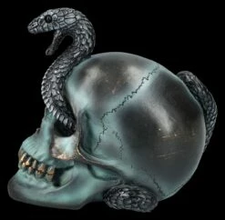 NEMESIS NOW Totenkopf Mit Schlange - Serpentine Fate -FIGUREN Verkäufe 2D FS24999 Totenkopf mit Schlange Serpentine Fate 2 1280x1280
