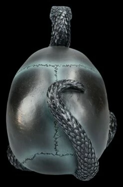 NEMESIS NOW Totenkopf Mit Schlange - Serpentine Fate -FIGUREN Verkäufe 2D FS24999 Totenkopf mit Schlange Serpentine Fate 3 1280x1280