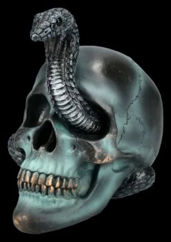 NEMESIS NOW Totenkopf Mit Schlange - Serpentine Fate -FIGUREN Verkäufe 2D FS24999 Totenkopf mit Schlange Serpentine Fate 6 1280x1280