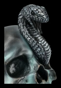 NEMESIS NOW Totenkopf Mit Schlange - Serpentine Fate -FIGUREN Verkäufe 2D FS24999 Totenkopf mit Schlange Serpentine Fate 7 1280x1280