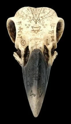 Totenkopf - Rabenschädel Mit Mytischen Symbolen -FIGUREN Verkäufe 2D FS25098 Totenkopf Rabensch del mit mystischen Symbolen 1 1280x1280
