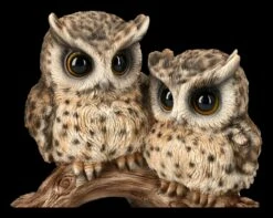 Baby Eulen Auf Ast Dekofigur -FIGUREN Verkäufe 2D FS25123 Baby Eulen auf Ast Dekofigur 7 1280x1280