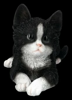 Baby Katze Schwarz-weiß Dekofigur 10 Baby Katze Schwarz-weiß Dekofigur -FIGUREN Verkäufe 2D FS25124 Baby Katze schwarz weiss Dekofigur 1 1280x1280