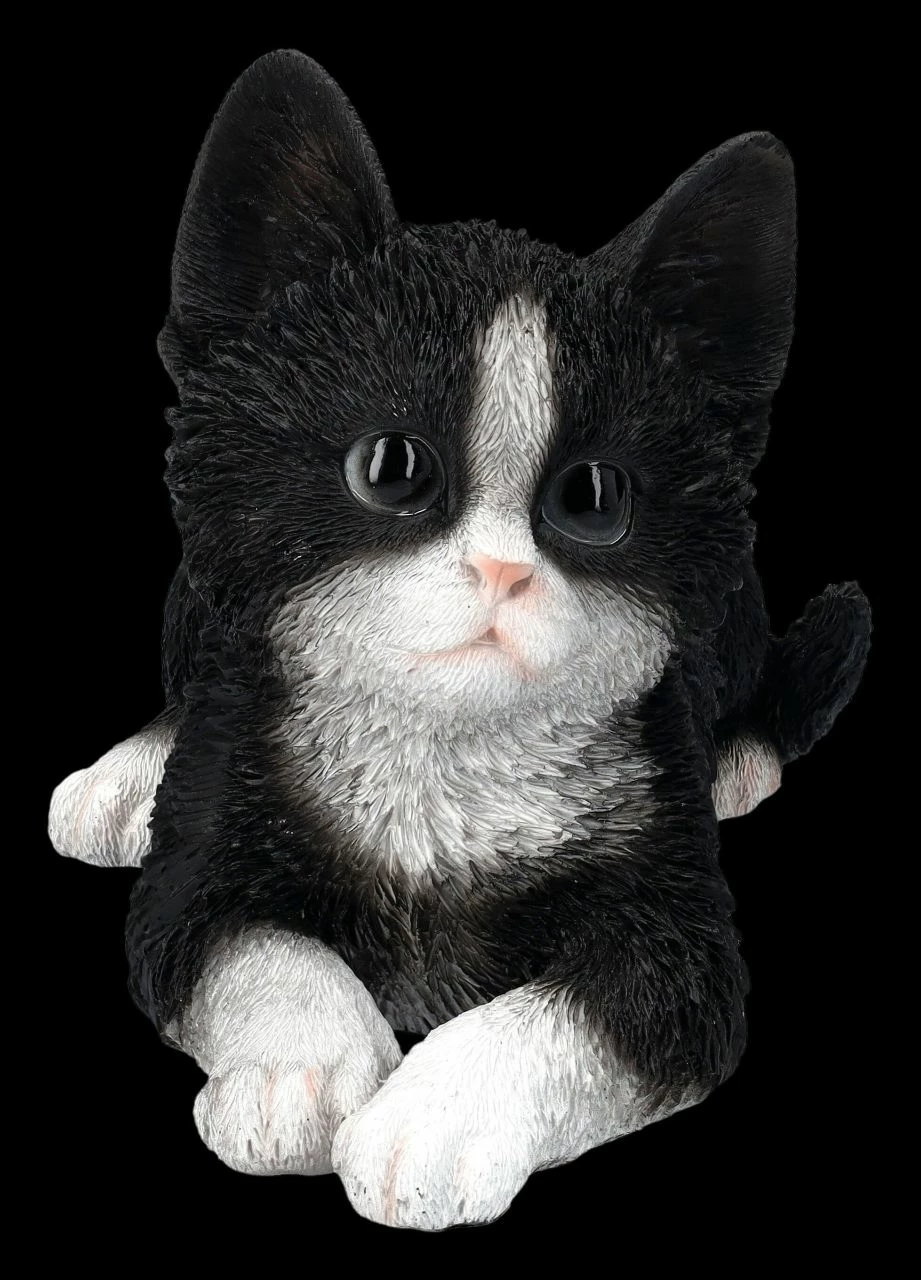 Baby Katze Schwarz-weiß Dekofigur 4 Baby Katze Schwarz-weiß Dekofigur – Bild 2