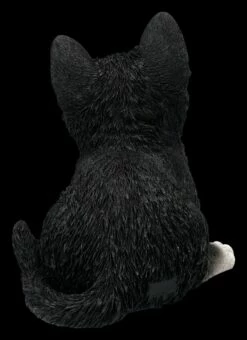 Baby Katze Schwarz-weiß Dekofigur 13 Baby Katze Schwarz-weiß Dekofigur -FIGUREN Verkäufe 2D FS25124 Baby Katze schwarz weiss Dekofigur 4 1280x1280