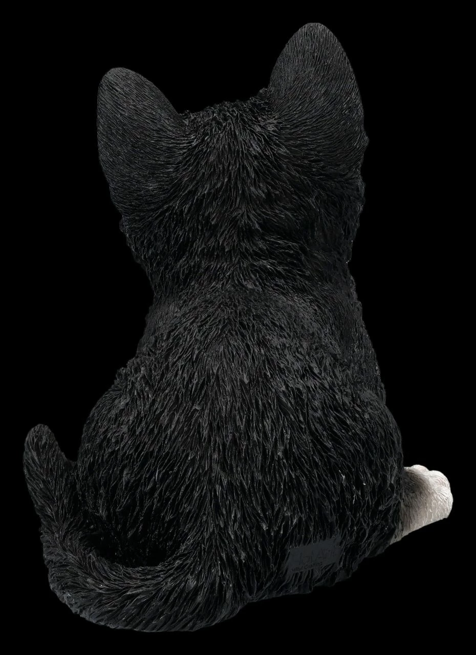 Baby Katze Schwarz-weiß Dekofigur 7 Baby Katze Schwarz-weiß Dekofigur – Bild 5