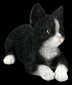 Baby Katze Schwarz-weiß Dekofigur 11 Baby Katze Schwarz-weiß Dekofigur -FIGUREN Verkäufe 2D FS25124 Baby Katze schwarz weiss Dekofigur 6 1280x1280