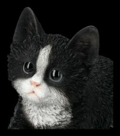 Baby Katze Schwarz-weiß Dekofigur 15 Baby Katze Schwarz-weiß Dekofigur -FIGUREN Verkäufe 2D FS25124 Baby Katze schwarz weiss Dekofigur 8 1280x1280