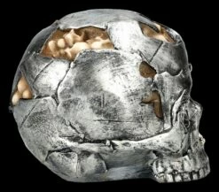 Totenkopf Figur - Fracture Groß 14 Totenkopf Figur - Fracture Groß -FIGUREN Verkäufe 2D FS25157 Totenkopf Figur Fracture gross 5 1280x1280