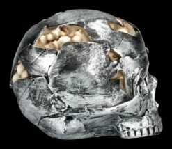 Totenkopf Figur - Fracture Klein -FIGUREN Verkäufe 2D FS25158 Totenkopf Figur Fracture gross 5 1280x1280