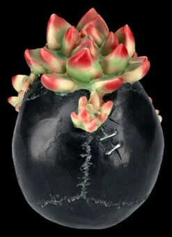 Totenkopf Figur Mit Sukkulenten -FIGUREN Verkäufe 2D FS25273 Totenkopf Figur mit Sukkulenten 3 1280x1280