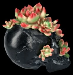 Totenkopf Figur Mit Sukkulenten -FIGUREN Verkäufe 2D FS25273 Totenkopf Figur mit Sukkulenten 4 1280x1280