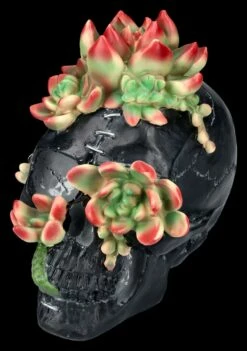 Totenkopf Figur Mit Sukkulenten