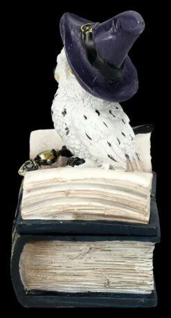 Eulen Figur Mit Zauberstab Und Buch Schatulle -FIGUREN Verkäufe 2D FS25311 Eulen Figur mit Zauberstab und Hut auf Buch 3 1280x1280