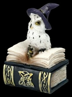 Eulen Figur Mit Zauberstab Und Buch Schatulle -FIGUREN Verkäufe 2D FS25311 Eulen Figur mit Zauberstab und Hut auf Buch 7 1280x1280