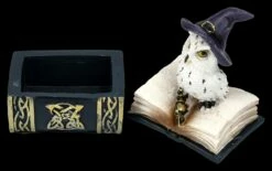 Eulen Figur Mit Zauberstab Und Buch Schatulle -FIGUREN Verkäufe 2D FS25311 Eulen Figur mit Zauberstab und Hut auf Buch 8 1280x1280