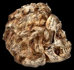 NEMESIS NOW Totenkopf Figur - Einstein Relativitätstheorie -FIGUREN Verkäufe 2D FS25377 Totenkopf Figur Einsteins Relativit tstherorie 4 1280x1280