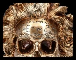 NEMESIS NOW Totenkopf Figur - Einstein Relativitätstheorie -FIGUREN Verkäufe 2D FS25377 Totenkopf Figur Einsteins Relativit tstherorie 7 1280x1280