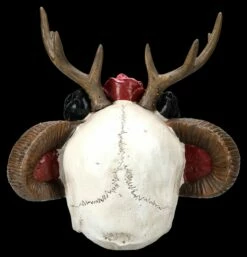 Totenkopf Figur - Wicca Schädel Mit Geweih -FIGUREN Verkäufe 2D FS25463 Totenkopf Figur Wicca Sch del mit Geweih 3 1280x1280