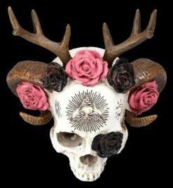Totenkopf Figur - Wicca Schädel Mit Geweih -FIGUREN Verkäufe 2D FS25463 Totenkopf Figur Wicca Sch del mit Geweih 8 1280x1280