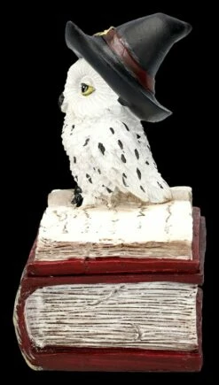 Schatulle - Hexen Eule Auf Buch Rot 13 Schatulle - Hexen Eule Auf Buch Rot -FIGUREN Verkäufe 2D FS25471 Schatulle HexenEule auf Buch rot 3 1280x1280