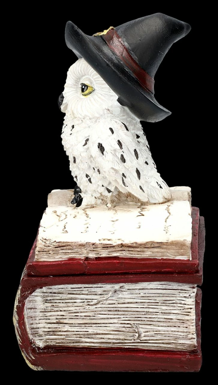 Schatulle - Hexen Eule Auf Buch Rot 6 Schatulle - Hexen Eule Auf Buch Rot – Bild 4