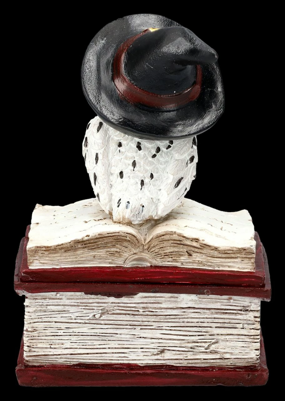 Schatulle - Hexen Eule Auf Buch Rot 7 Schatulle - Hexen Eule Auf Buch Rot – Bild 5