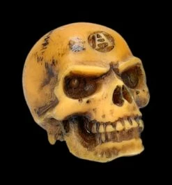 Totenkopf Mini - Lapillus Worry Skull