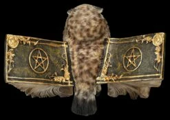 Eulen Figur Braun - Botschafterin Mit Buchflügeln 16 Eulen Figur Braun - Botschafterin Mit Buchflügeln -FIGUREN Verkäufe 2D FS25623 Eulen Figur braun Botschafter mit Buchfl geln 3 1280x1280