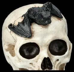 Totenkopf Mit Fledermaus -FIGUREN Verkäufe 2D FS25693 Totenkopf mit Fledermaus 4 1280x1280